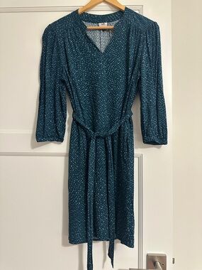 CAbi  Whimsy Dress size Small Teal Fall 2025